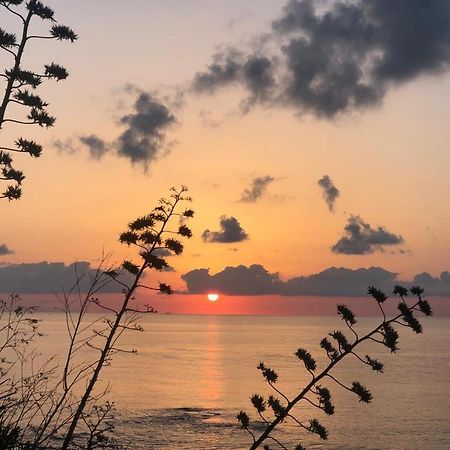 "Suliscenti" Dimora Siciliana B&B Avola Exteriér fotografie